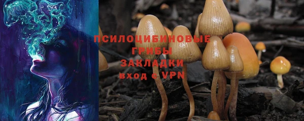 мяу мяу мука Богородицк